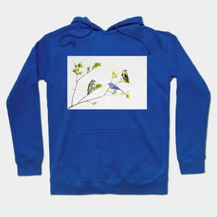 Spring Warbler Birds Hoodie